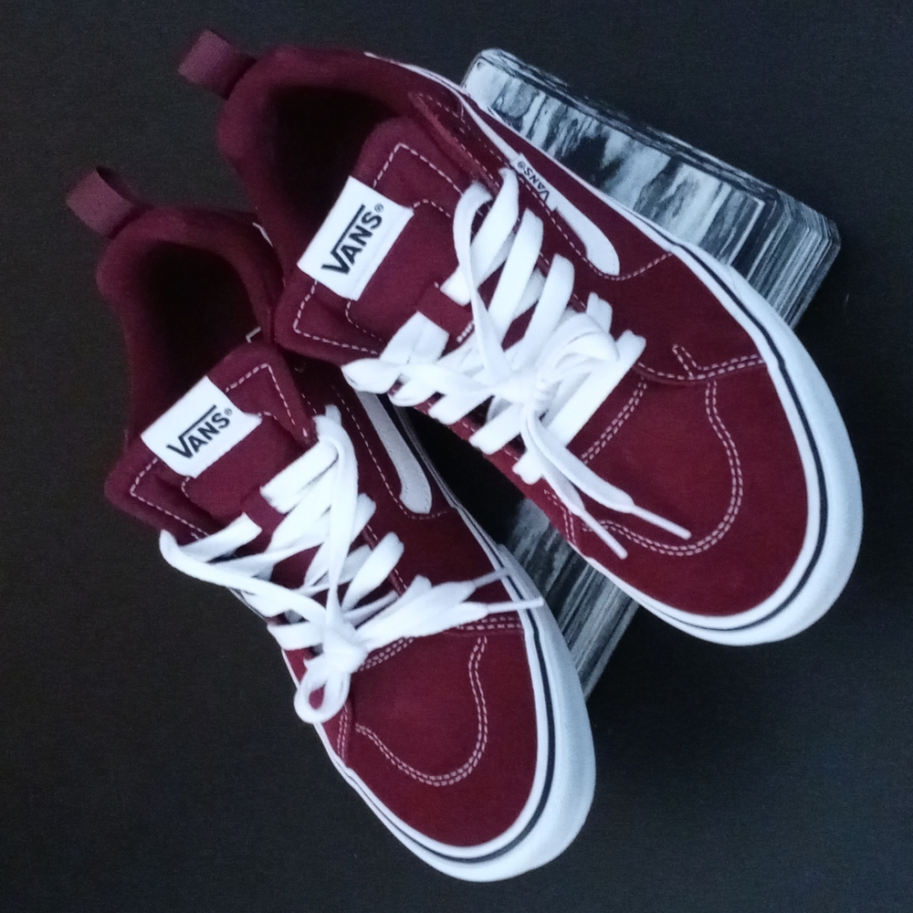 Vans Filmore Skate Mens Shoes